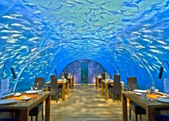 nha-hang-ithaa-undersea-o-maldives-13141